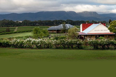 Hunter Valley Highlights Private Wine Tour From Sydney - Accommodation NSW 5