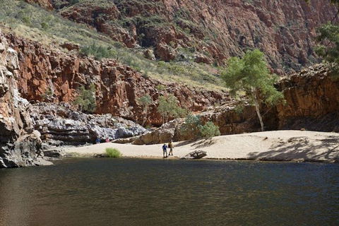 Full-Day West MacDonnell Ranges Tour From Alice Springs - Accommodation NSW 2
