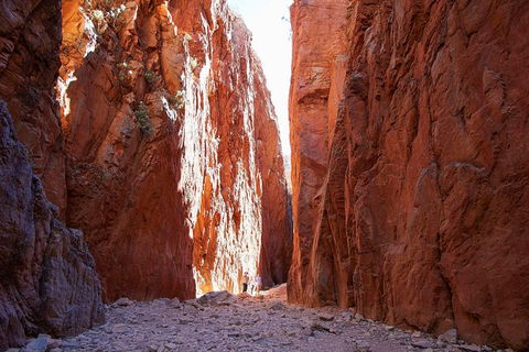 Best Of Alice Springs Full Day Tour - Accommodation NSW 6