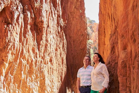 Best Of Alice Springs Full Day Tour - Accommodation NSW 4