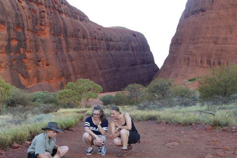 5-Hour Kata Tjuta Sunrise Tour From Ayers Rock With Breakfast - Accommodation NSW 3