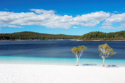 All-Inclusive Fraser Island Day Tour - Accommodation NSW 2