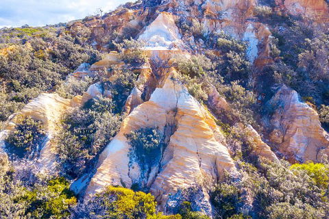 All-Inclusive Fraser Island Day Tour - Accommodation NSW 1