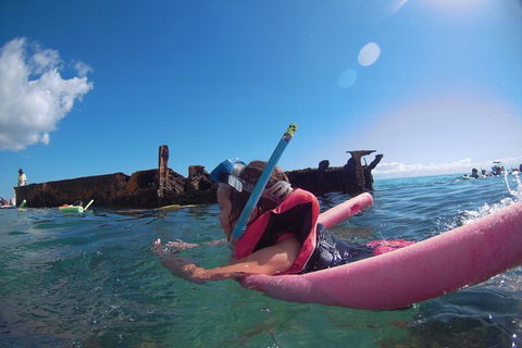 All Inclusive Dolphin And Tangalooma Wrecks Cruise - Accommodation NSW 8