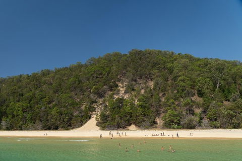 All Inclusive Dolphin And Tangalooma Wrecks Cruise - Accommodation NSW 4