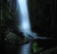 Mt Tamborine National Park 4WD Nocturnal Rainforest and Glow Worm Tour - Accommodation NSW