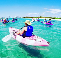Half Day Dolphin Kayaking and Snorkeling Tour - Accommodation NSW