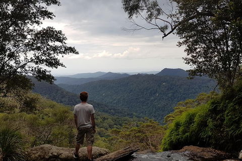 Small Group Gold Coast Mountain Tour: Springbrook National Park And Mt Tamborine - Accommodation NSW 6