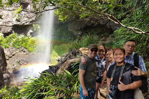 Small Group Gold Coast Mountain Tour: Springbrook National Park And Mt Tamborine - Accommodation NSW 0