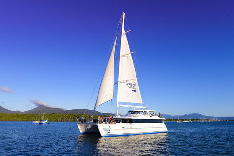 Cairns Luxury Catamaran Harbor And Dinner Cruise - Accommodation NSW 1