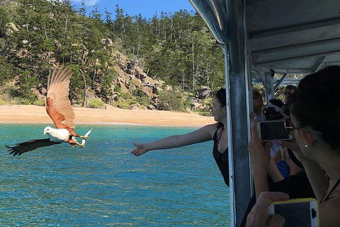 Aquascene Magnetic Island Discovery Tour - Accommodation NSW 2