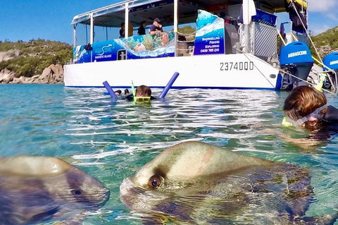 Aquascene Magnetic Island Discovery Tour - Accommodation NSW 4