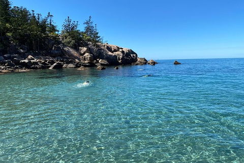 Aquascene Magnetic Island Discovery Tour - Accommodation NSW 9