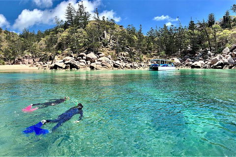 Aquascene Magnetic Island Discovery Tour - Accommodation NSW 8