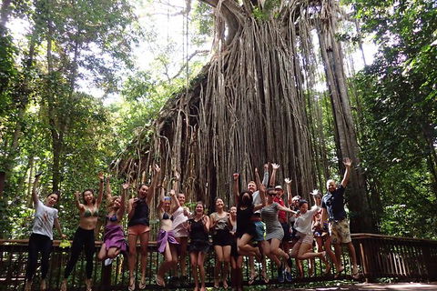 Atherton Tablelands Waterfalls Tour From Cairns - Accommodation NSW 8