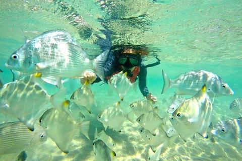 Half-Day Kayak, SUP And Snorkel Tour At Wave Break Island With Lunch - Accommodation NSW 9