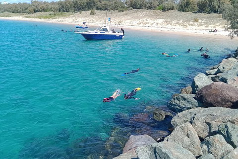 Half-Day Kayak, SUP And Snorkel Tour At Wave Break Island With Lunch - Accommodation NSW 3