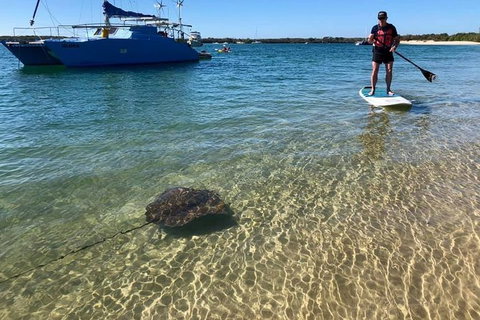Half-Day Kayak, SUP And Snorkel Tour At Wave Break Island With Lunch - Accommodation NSW 2