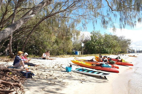 Half-Day Kayak, SUP And Snorkel Tour At Wave Break Island With Lunch - Accommodation NSW 8