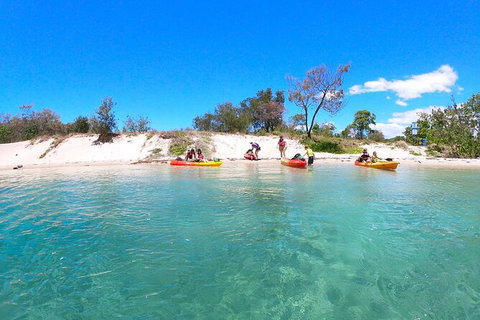 Half-Day Kayak, SUP And Snorkel Tour At Wave Break Island With Lunch - Accommodation NSW 4