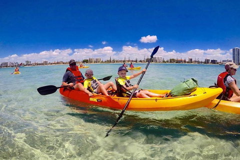 Half-Day Kayak, SUP And Snorkel Tour At Wave Break Island With Lunch - Accommodation NSW 5