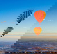 Hot Air Ballooning including Champagne Breakfast from the Gold Coast - Accommodation NSW