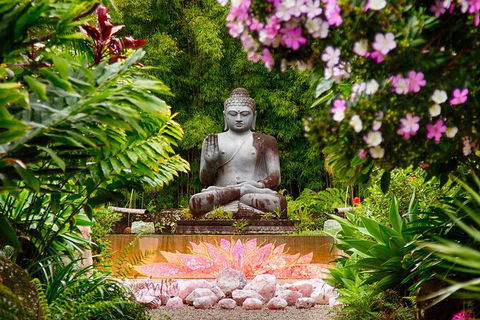 Byron Bay And The Crystal Castle Day Tour From Gold Coast - Accommodation NSW 7