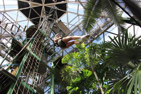 Cairns ZOOM And Wildlife Dome - Accommodation NSW 5