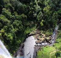 Full-day Springbrook National Park Tour from the Gold Coast - Accommodation NSW