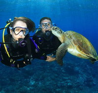 Gold Coast Try-Scuba Experience at Wave Break Island - Accommodation NSW