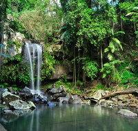 Gold Coast 4WD Eco Outback Tracks Tour - Accommodation NSW