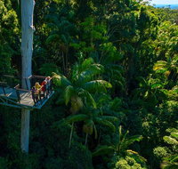 The Best of Tamborine Mountain from the Gold Coast - Accommodation NSW