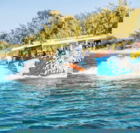 Gold Coast Quack'rDuck Amphibious Tour from Surfers Paradise - Accommodation NSW