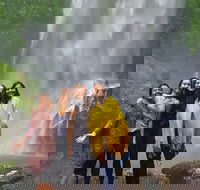 Small Group Tour Max 6 Gold Coast Super 7 Waterfalls Tour Springbrook - Accommodation NSW