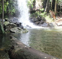 The Gold ExperiencePrivate Day Tour In Lamington National Park or Mt Tambourine - Accommodation NSW