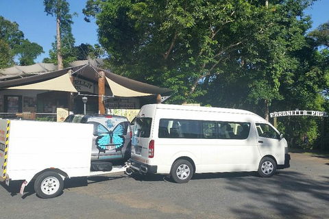 Airport Transfer To Or From Cairns Hotels For Up To 13 People (7am-10pm) - Accommodation NSW 3