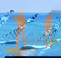 Stand Up Paddle Board Hire - Accommodation NSW