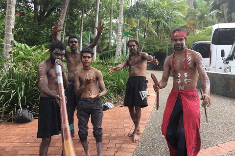 Cairns City Tour - Accommodation NSW 2