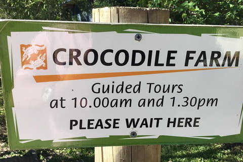 Cairns City Tour - Accommodation NSW 3