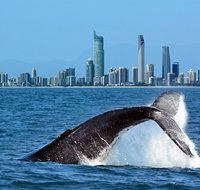 Gold Coast Airport to and from Byron Bay NSW for up-to 7 ppl - Accommodation NSW