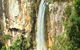 Private Tour - Rainforest & Waterfalls Extravaganza - thumb 3