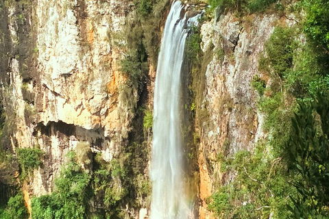 Private Tour - Rainforest & Waterfalls Extravaganza - Accommodation NSW 3