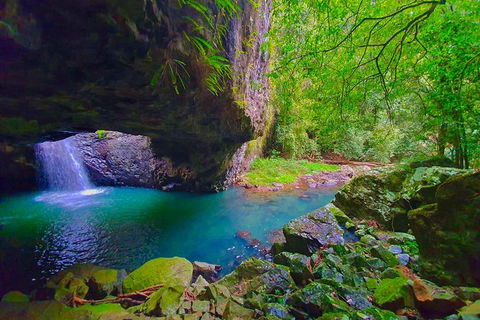 Private Tour - Rainforest & Waterfalls Extravaganza - Accommodation NSW 1