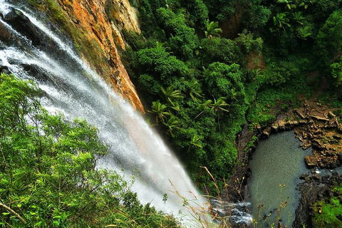 Private Tour - Rainforest & Waterfalls Extravaganza - Accommodation NSW 2