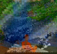 Private Tour - Rainforest  Waterfalls Extravaganza - Accommodation NSW
