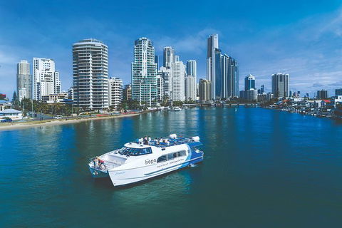 Hop On Hop Off Day Pass | Hopo Gold Coast Ferry - Accommodation NSW 2
