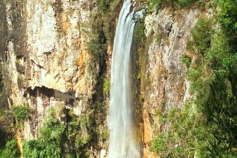 Natural Arch, Rainforest & Volcano Canyon - Private Half Day Tour - Accommodation NSW 1