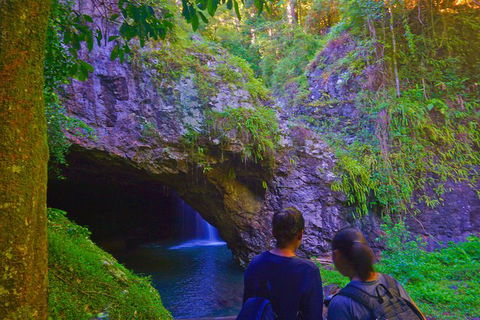 Natural Arch, Rainforest & Volcano Canyon - Private Half Day Tour - Accommodation NSW 6