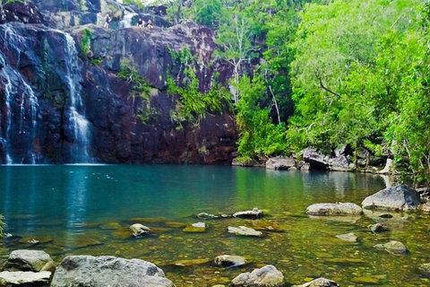 Reef, Wildlife & Rainforest - Reef & Beyond Guided Holidays - Accommodation NSW 0