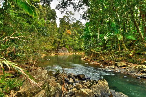 Reef, Wildlife & Rainforest - Reef & Beyond Guided Holidays - Accommodation NSW 3